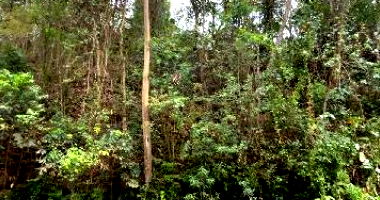 Terreno com 247,75m² em Nova Friburgo/RJ