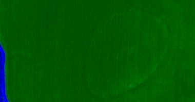 Fazenda Adamantina: 31,46 ha em Engenheiro Beltrão/PR