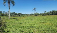 Imóvel Rural com 90.693m² em São João do Sul-SC