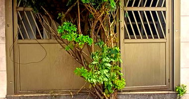 Casa com 80m², 2 quartos, ocupada, Alto da Mooca