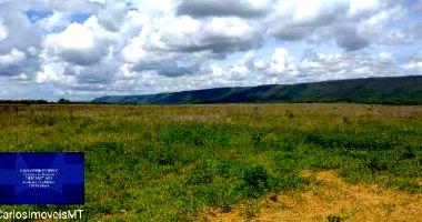 Fazenda Valentino em Rosário Oeste/MT com 1.899,27ha