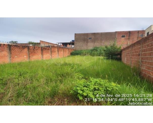 Terreno em Jaboticabal - Área 03 com 250m²