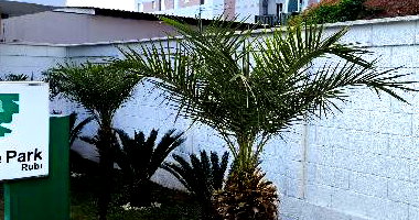 Apartamento 2 Quartos, 1 Vaga e 40,64 m² Privativos