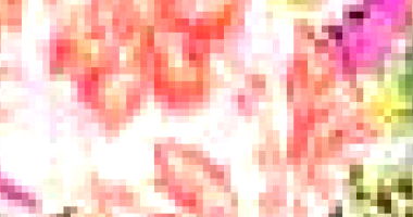 Vestuário em Curitiba/PR