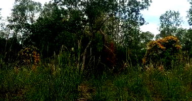 Área de Terras com 59.450m² em Montenegro/RS