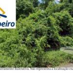 Imóvel de Alto Padrão em Afogados com 1020 m²