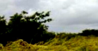 Área Rural com 29,05 hectares em Ceará-Mirim/RN