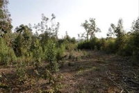 Terreno Rural de 6,76 hectares em Porto Vitória/PR