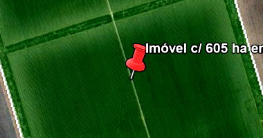 Imóvel Rural com 605 ha em Correntina/BA