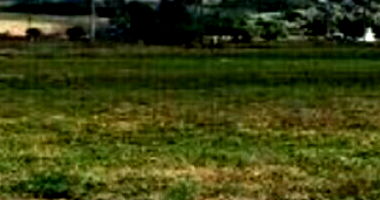 Terrenos em Leilão com 621,32m² de Área Total