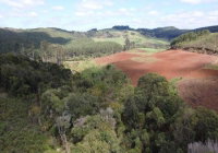 Terreno rural com 252.610 m² e casa de madeira em Monte Carlo