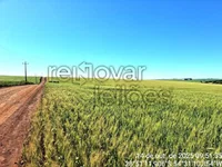 Área Rural de 6 hectares em São Miguel das Missões