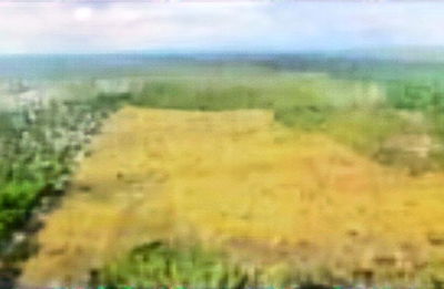 Fazenda Lagoa Bonita com 381,36 hectares em Santo Antônio de Leverger