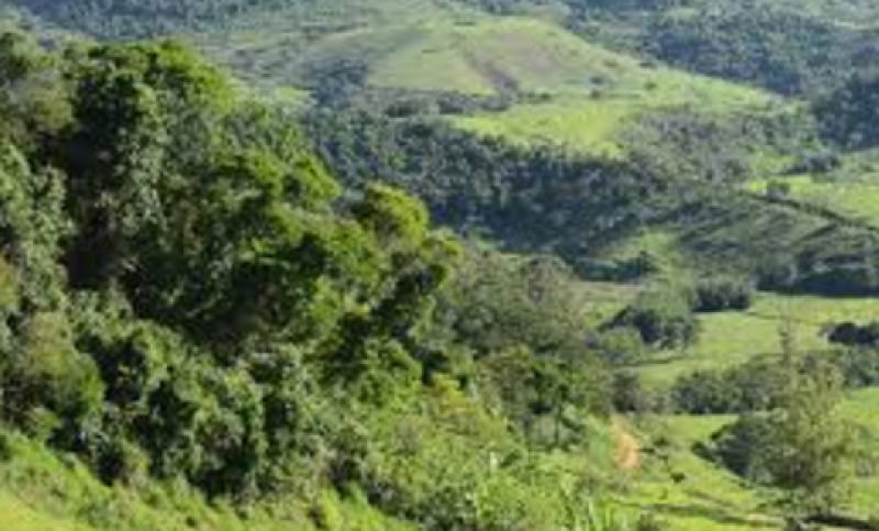 Fração de 2/6 de Imóvel Rural com Benfeitorias em Juiz de Fora