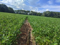 3 Hectares na Esquina União em Giruá/RS