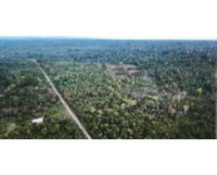 Terreno de 1.000.000m² em Tefé/AM - Oportunidade Única
