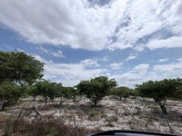 Terreno em Pacajus/CE com 6600m²