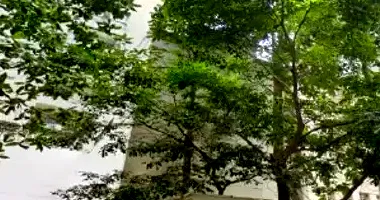 Apartamento com 1 vaga em leilão no Jardim Parque Morumbi