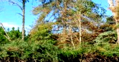 Terreno amplo em leilão com 35.008,84m² em União da Vitória/PR