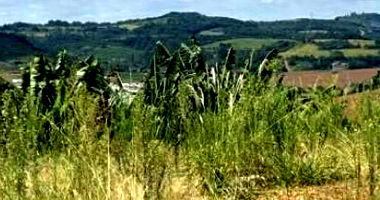 Terreno Urbano em Loteamento Santana - Oportunidade de Investimento