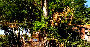 Terreno com 2 lotes em Aracaju/SE