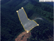 Chácara com 7 hectares em Conselheiro Pena/MG