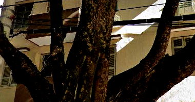 Apartamento na Tijuca com 76m²