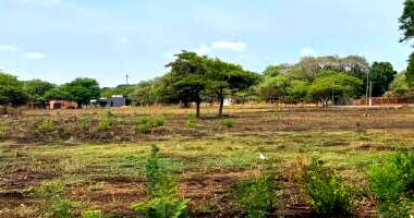 Terreno com 363,00 m² em Araguacema/TO