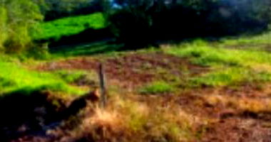 Área Rural de 349.626,31m² em Chapecó - Oportunidade Única!