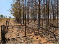 Área de Terras em Pontalinda/SP - 14,52 hectares