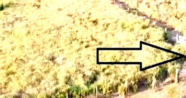 IMÓVEL RURAL | 9,32 HA | PECUÁRIA | CHÁCARA LOURENÇO EM COTRIGUAÇU/MT