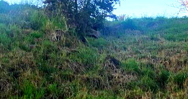 Terreno amplo de 3.300m² sem benfeitorias, ótimo padrão