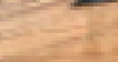 Casa Ocupada em Salvador com Terreno de 160m²