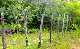 Sítio com 75,83 hectares e Terreno Comercial em Icó/CE