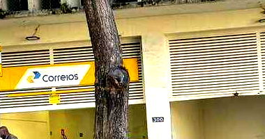 Prédio desocupado com 350m² terreno e 917m² construída