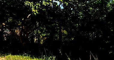 Terreno Urbano com 500m² em Santa Maria/RS