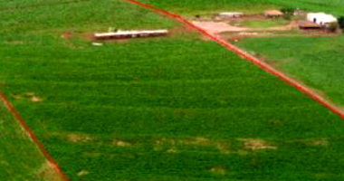 Imóvel Rural Espaçoso de 16.60ha Ocupado