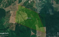Fazenda Santa Luzia com 387,32 hectares, desocupada