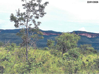 Fazenda com 324,19 ha em Almas/TO