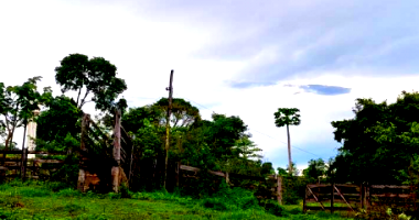 Sítio com 58,50 hectares em Guapó/GO