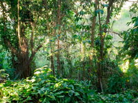 Terreno em Caieiras/SP com 1.052,40 m²
