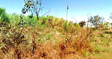 Área de 360m² em Planaltina/GO com Lance Inicial de R$ 7.500,00