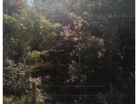 Terreno em Zona Rural com Potencial de Valorização