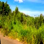 Terreno com 436m² no Vila Nova, ótimo para construção