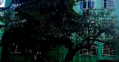 Apartamento com 1 vaga de garagem em Porto Alegre