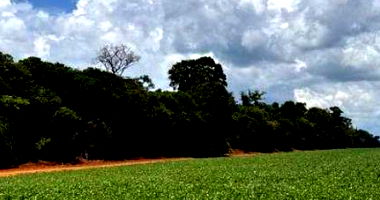Fazenda Bom Retiro II com Gleba Capen - 500ha