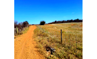 Fazenda com 101,65 hectares em Dormentes/PE