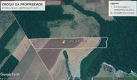 Imóvel Rural com 45 HA em Porto dos Gaúchos/MT