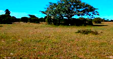 Fração de Terras Rural com 127,23ha em Camaquà - RS