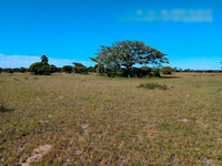 Fração de Terras Rural com 127,23ha em Camaquà - RS